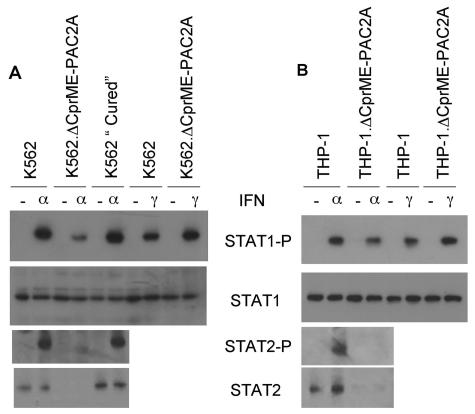 FIG. 5.