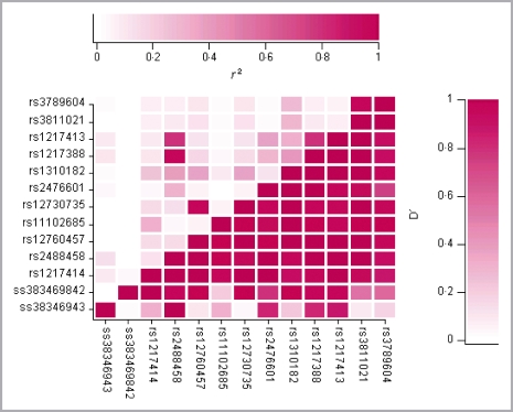 Fig 2