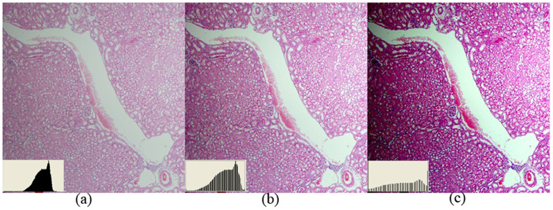 Figure 12