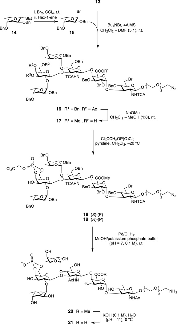 Scheme 3