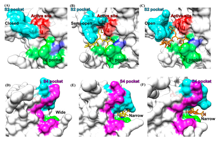 Figure 6