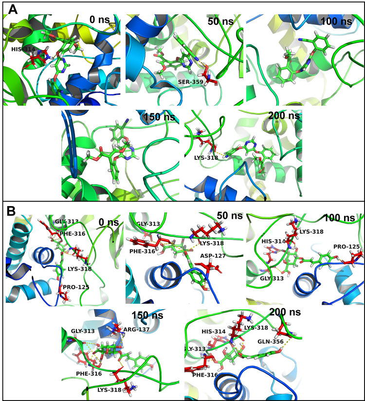 Fig 6