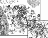 FIG. 2.