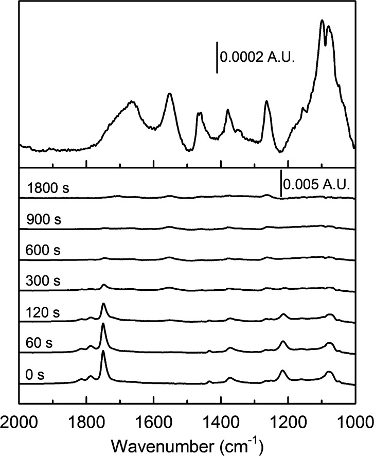 Figure 8