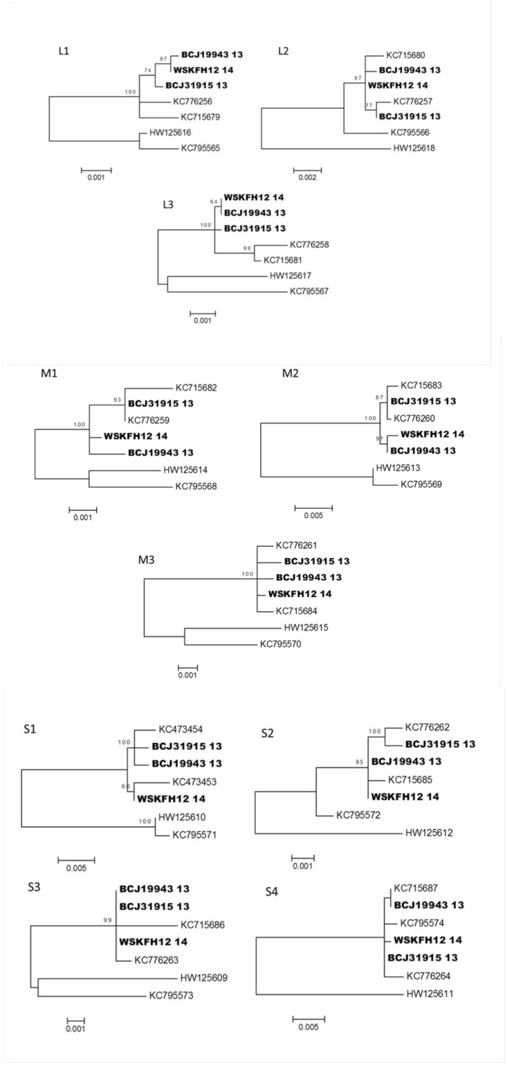 Fig 5