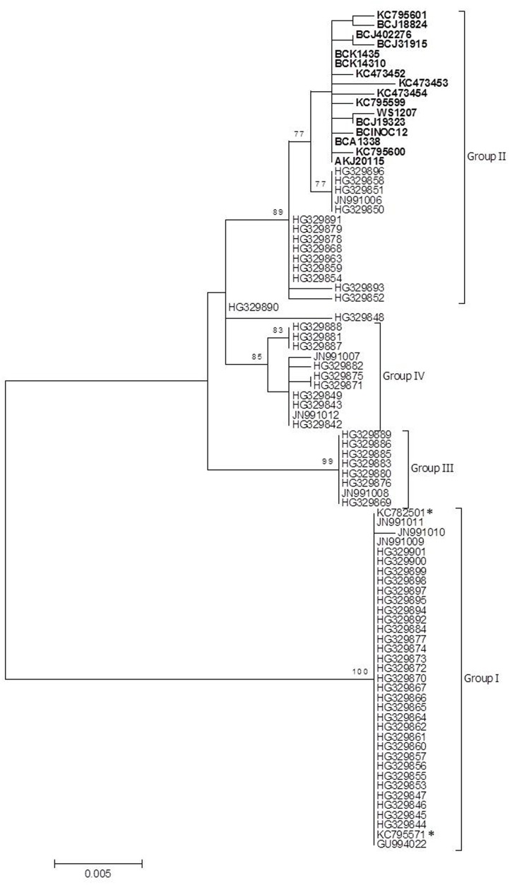 Fig 3