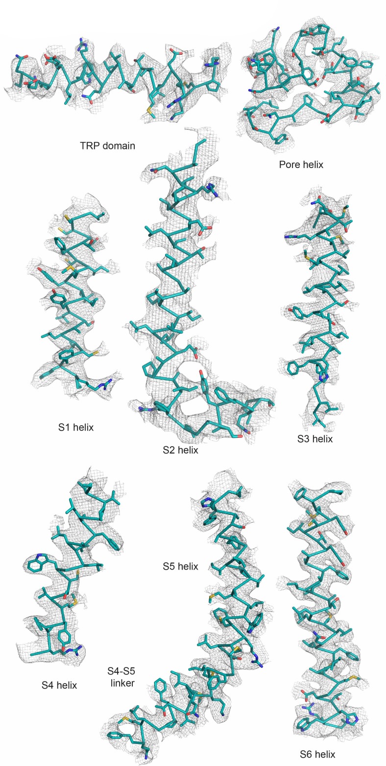 Figure 3—figure supplement 2.