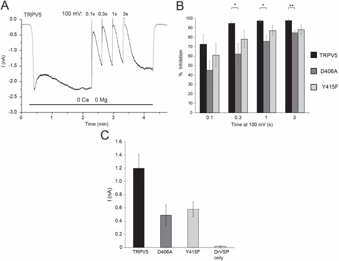 Figure 5—figure supplement 1.