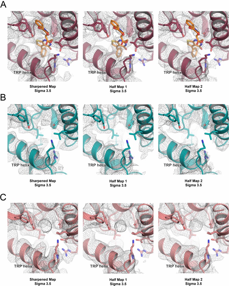 Figure 4—figure supplement 1.