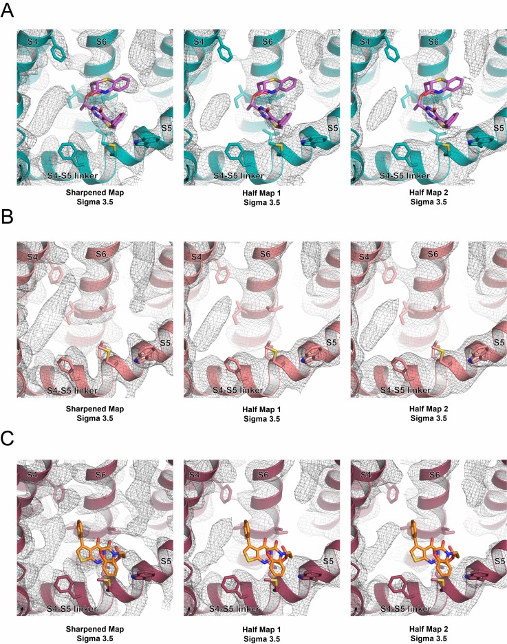 Figure 4—figure supplement 5.