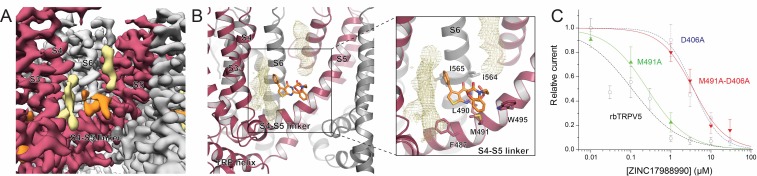 Figure 4—figure supplement 4.