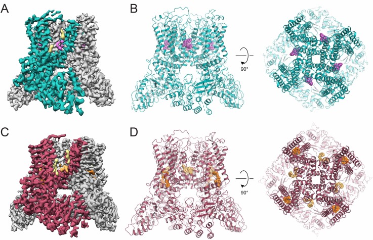 Figure 3.