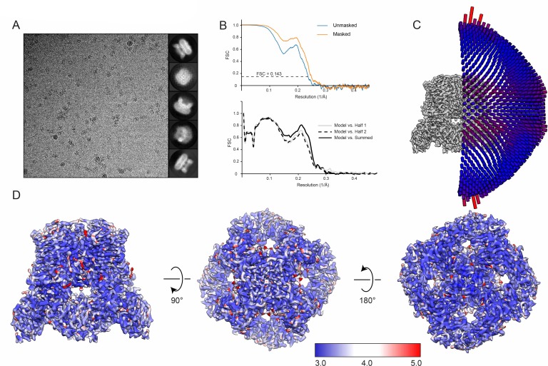 Figure 3—figure supplement 3.