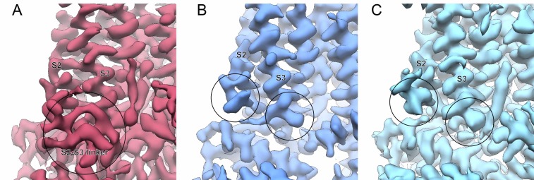 Figure 5—figure supplement 2.