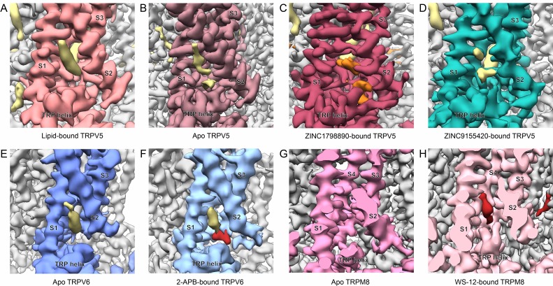 Figure 4—figure supplement 2.