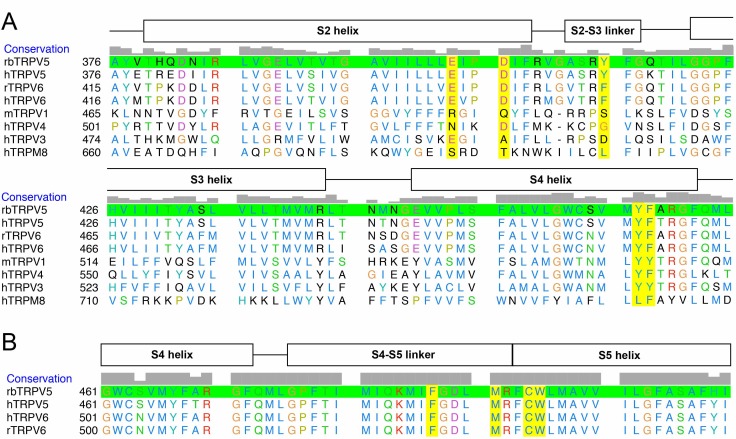 Figure 4—figure supplement 3.