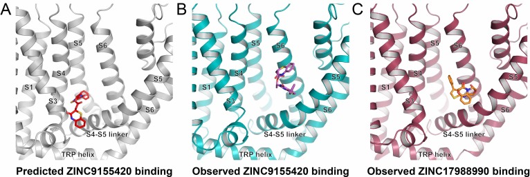 Figure 6—figure supplement 1.