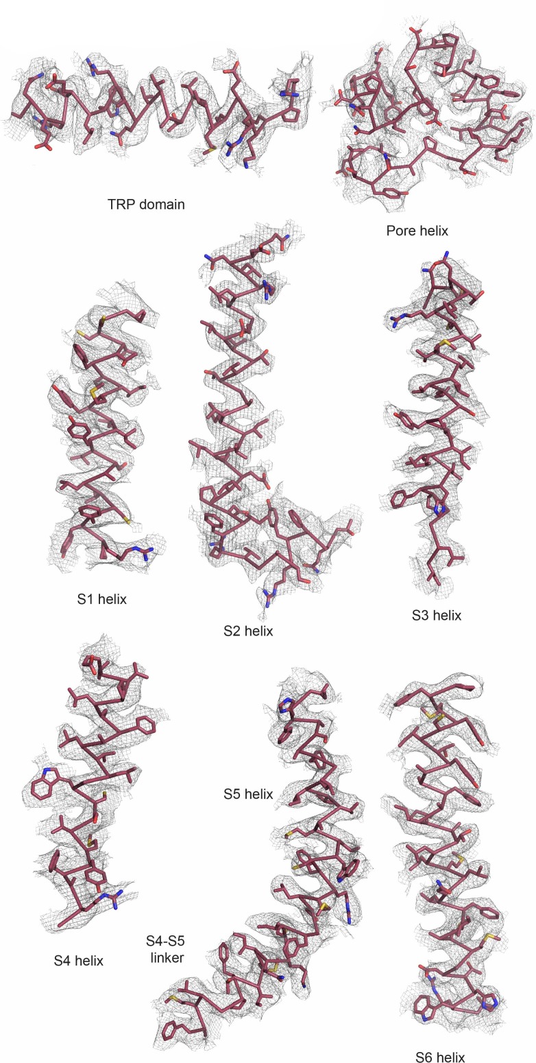 Figure 3—figure supplement 4.