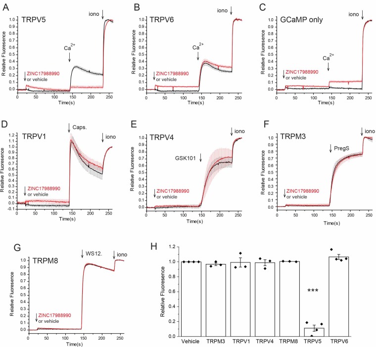 Figure 2—figure supplement 2.