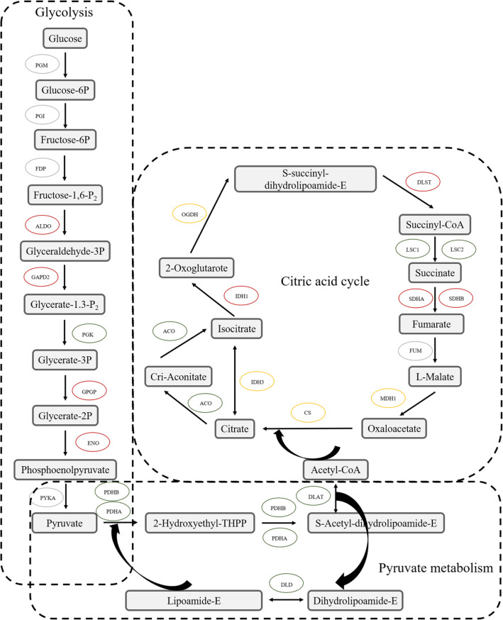 Fig. 10