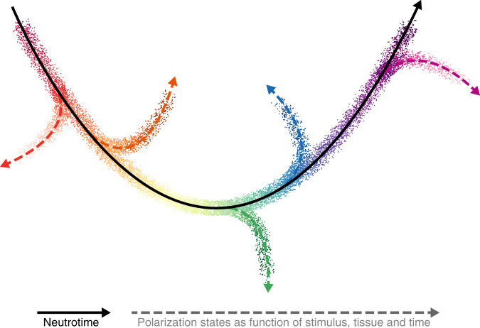 Fig. 9