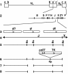 FIG. 1.