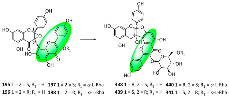 Figure 34