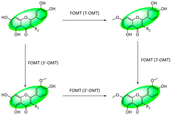 Figure 29