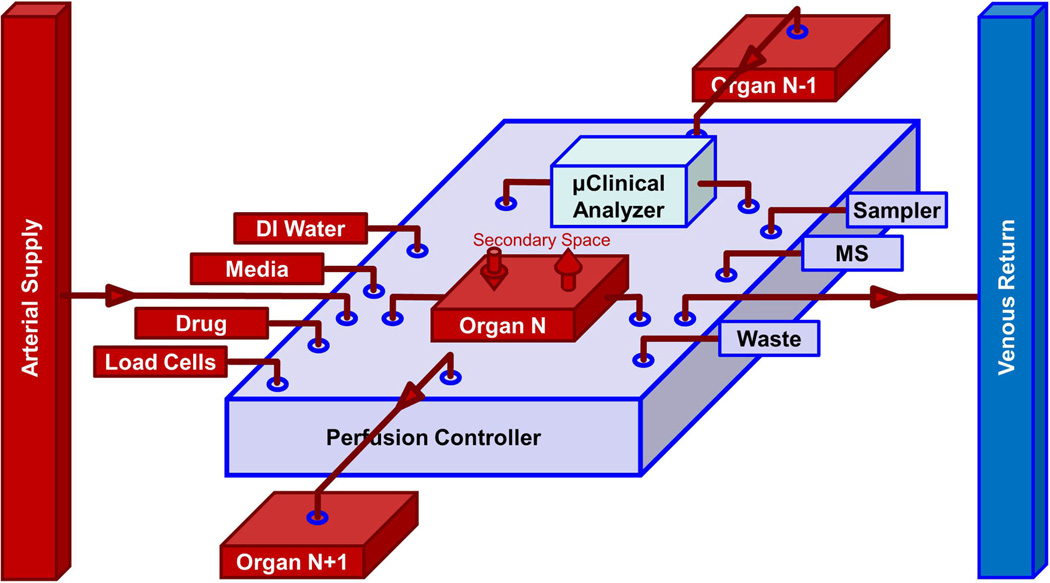 Fig. 2