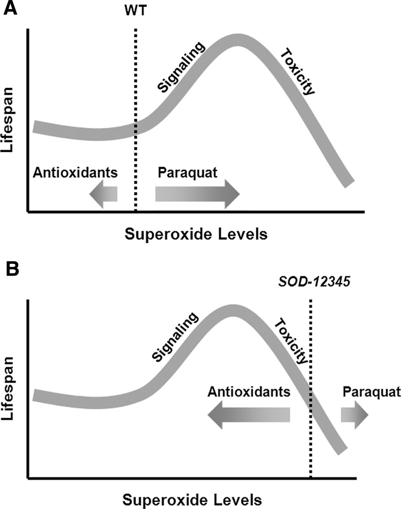 FIG. 7.