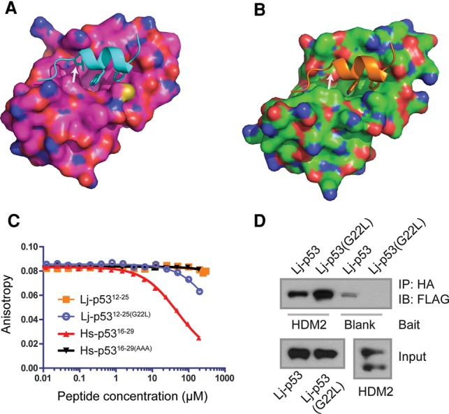 Figure 4.