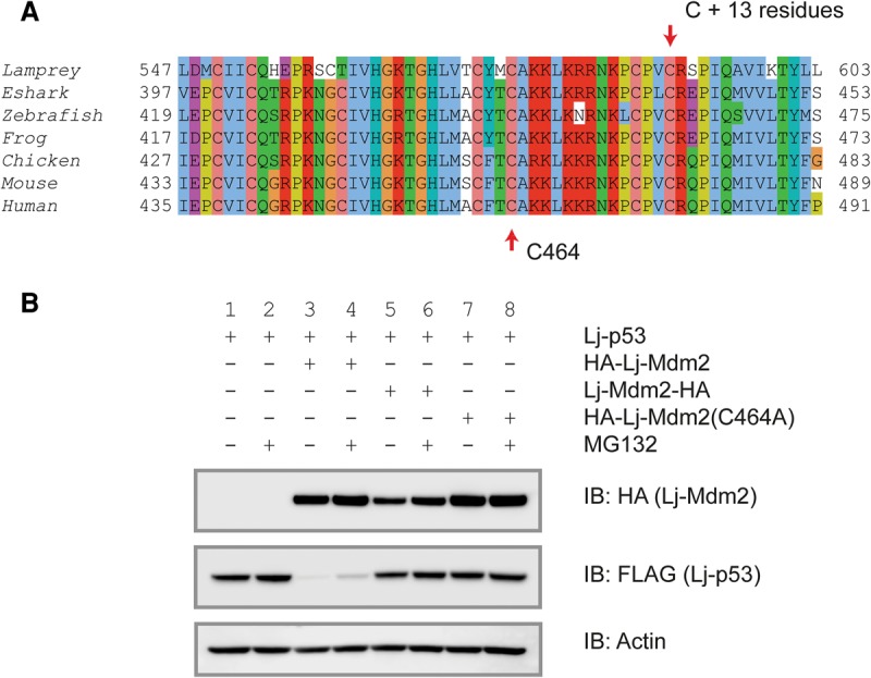 Figure 6.