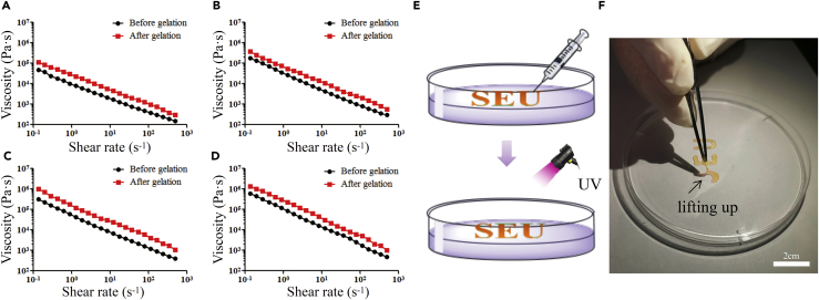 Figure 5