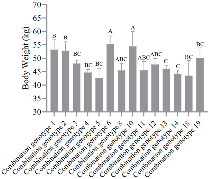 FIGURE 4