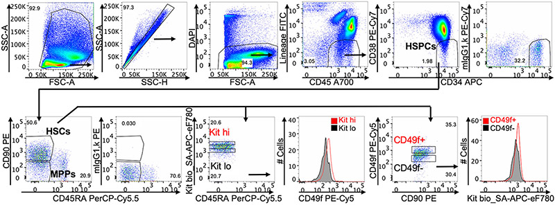 Figure 141.