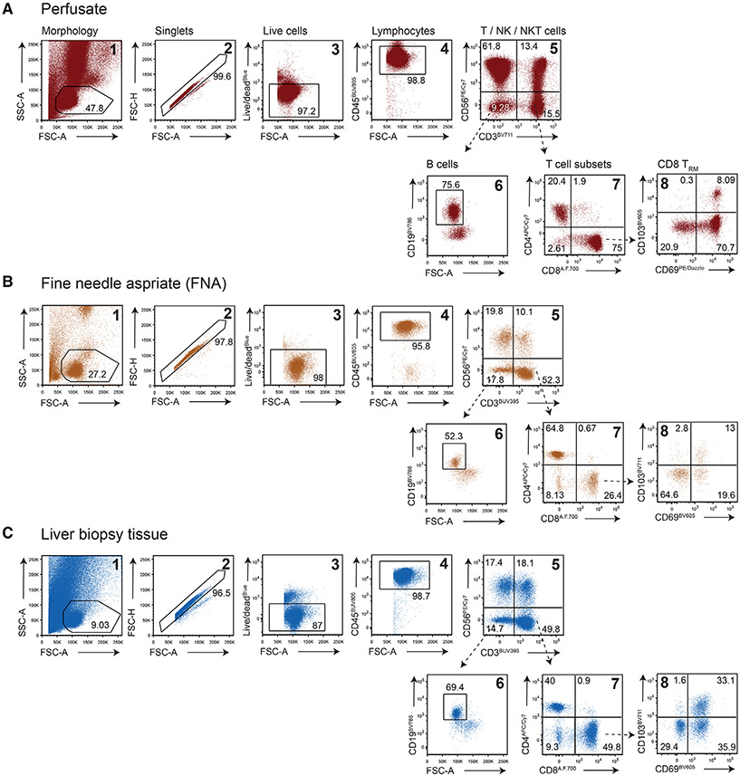 Figure 148.