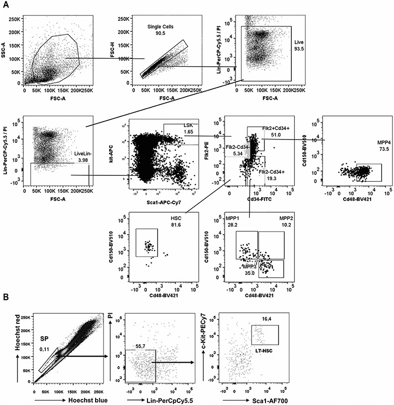 Figure 142.