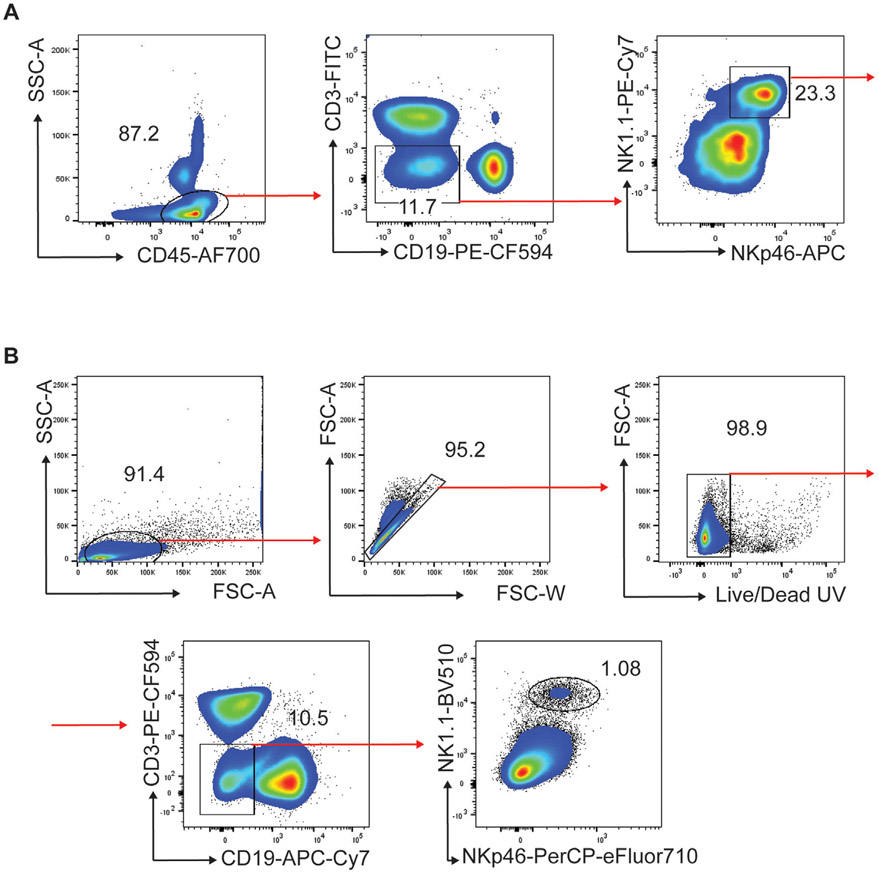 Figure 123.