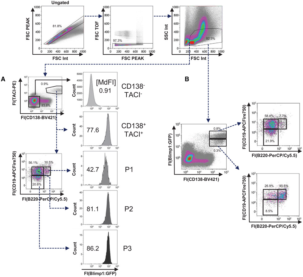 Figure 116.