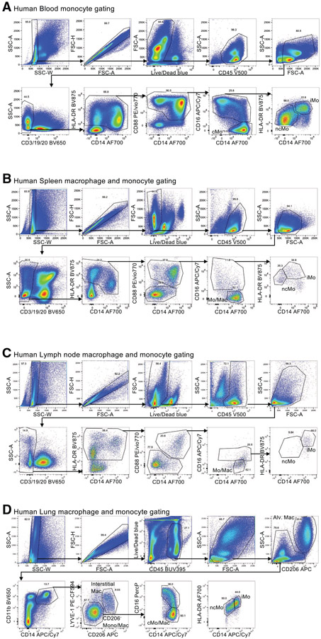 Figure 126.