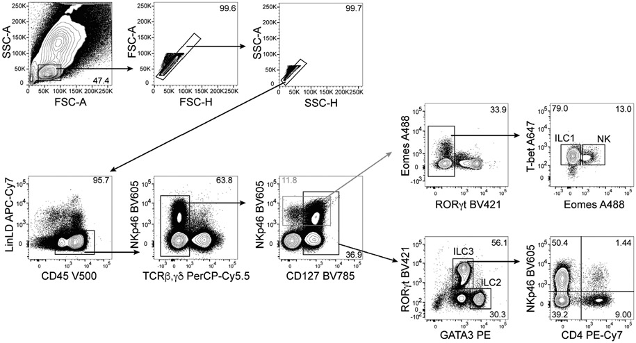 Figure 121.