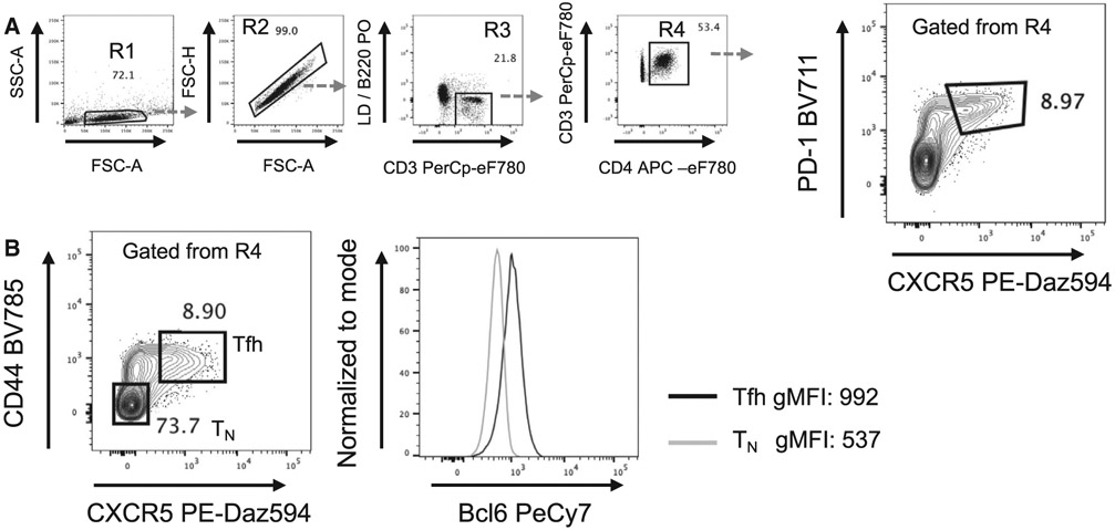 Figure 15.