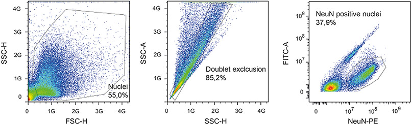 Figure 144.