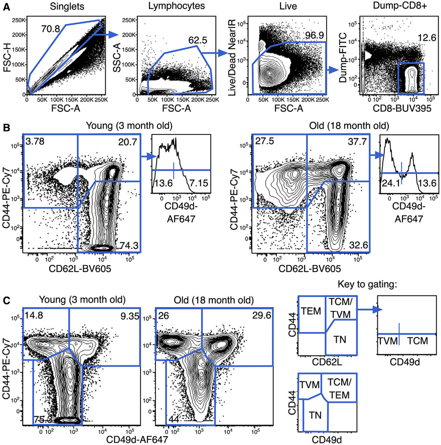 Figure 27.