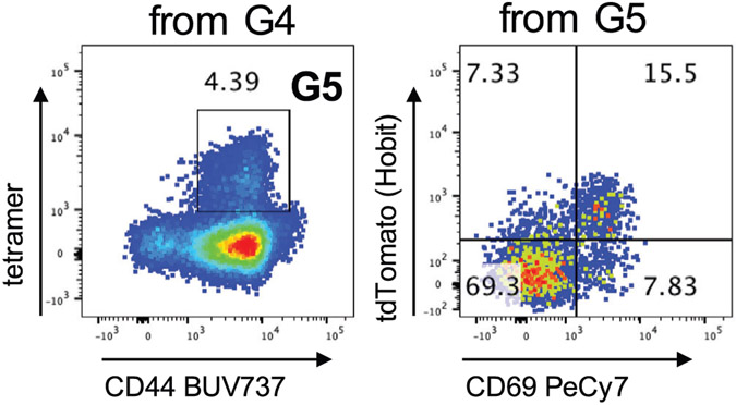 Figure 21.