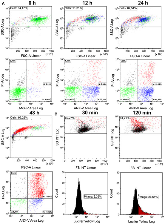 Figure 135.