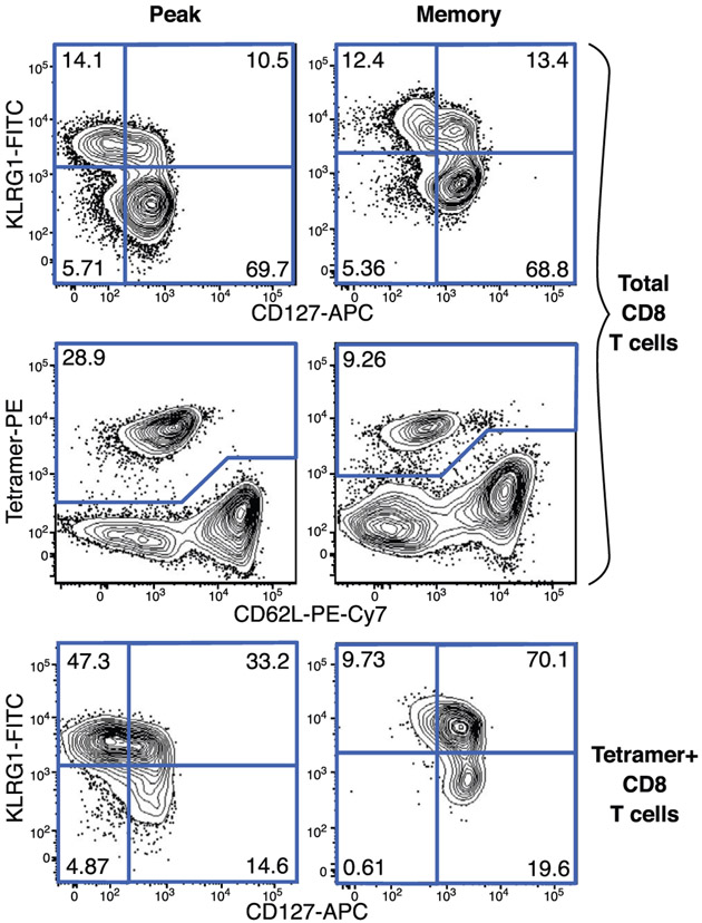 Figure 18.