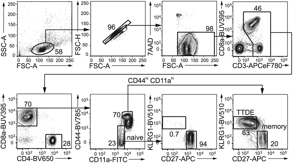 Figure 28.