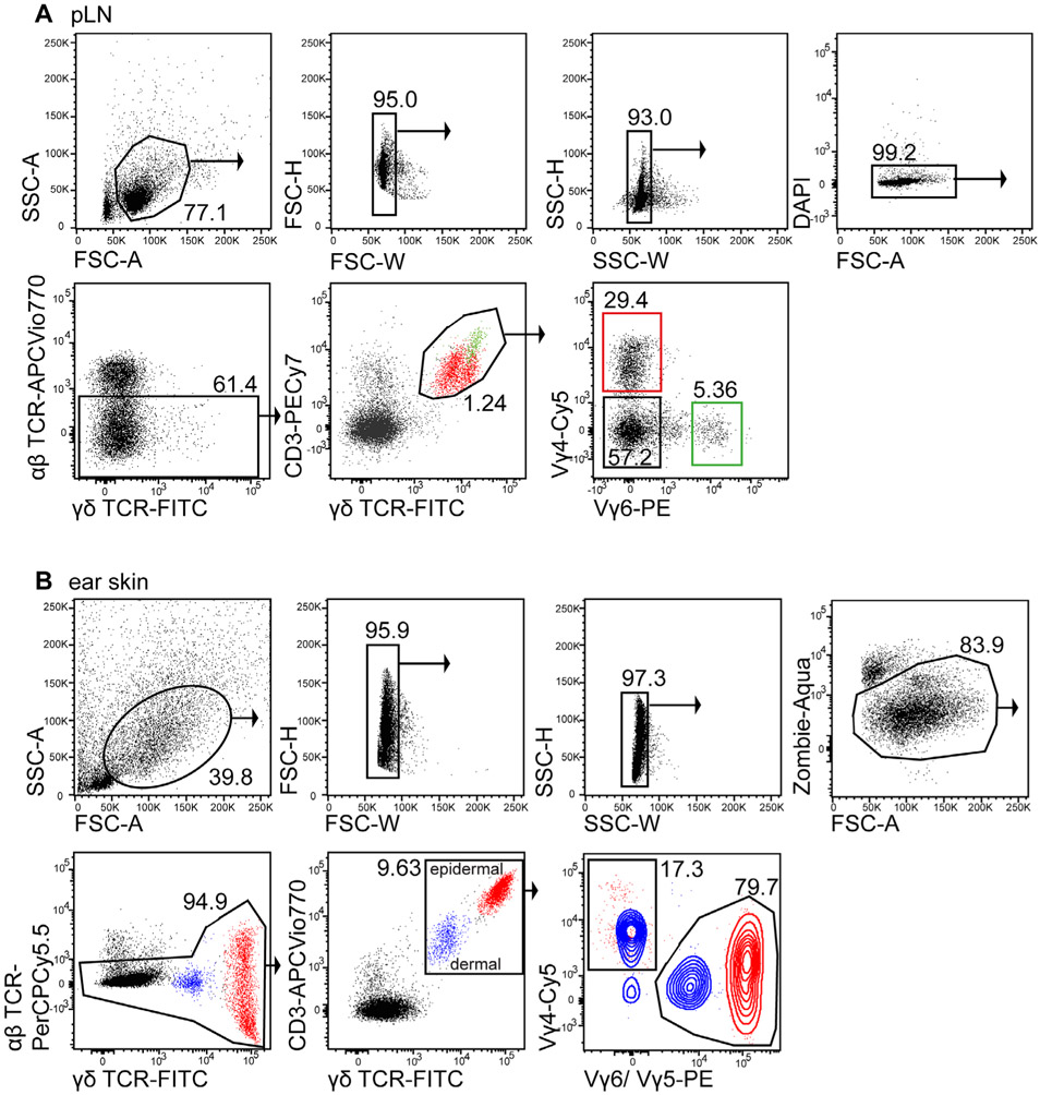 Figure 61.