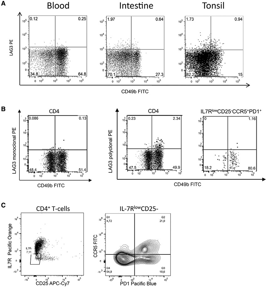 Figure 46.